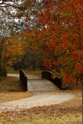 THE FOOT BRIDGE