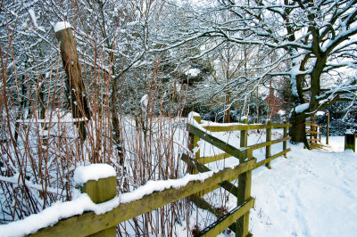 Cannock Chase