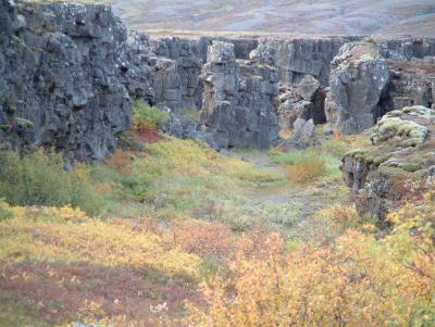 A gorge full of autumn colors and rock foramtions
