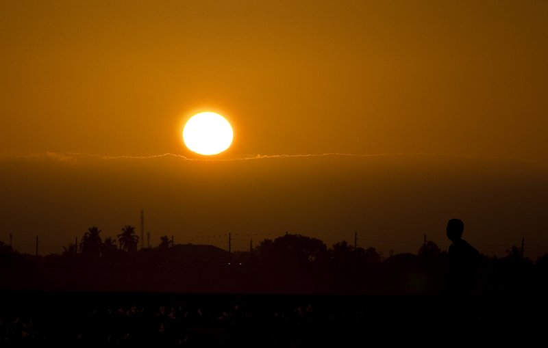 _DSC8282-1.jpg