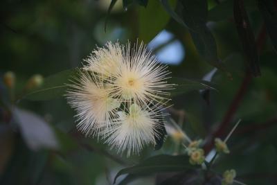IMG_8478.JPG