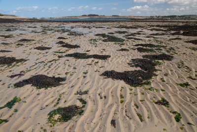 Côte bretonne