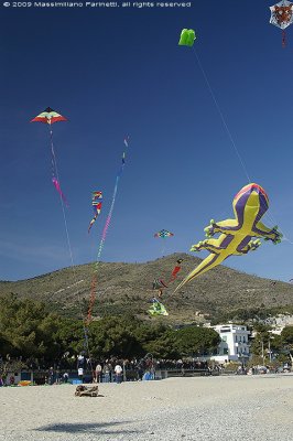 Kite festival