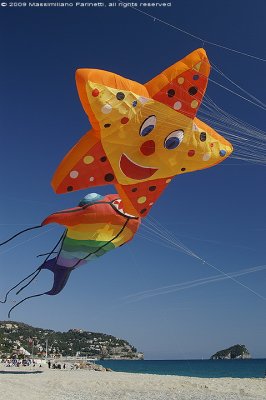 Kite festival