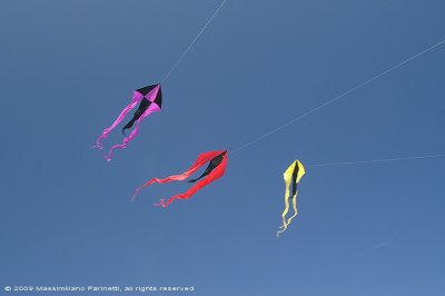 Kite festival