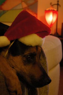 Santa's Little Helper
