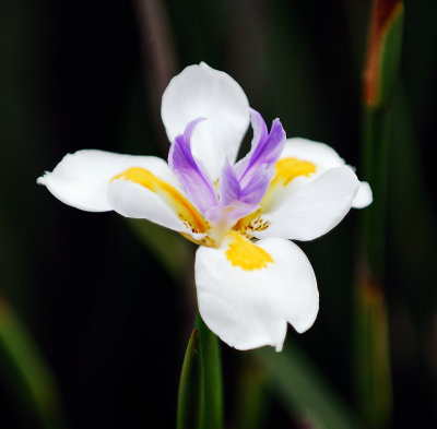 DSC_0257.jpg