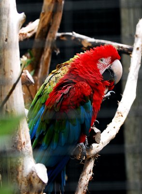 DSC_0264.jpg