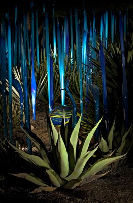 Chihuly_(17_of_23).jpg