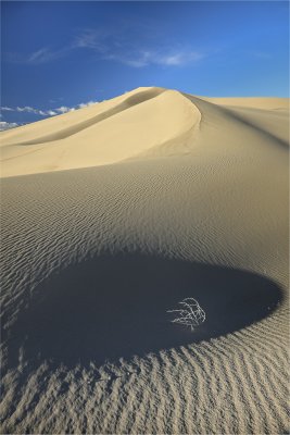Death_Valley-44.jpg