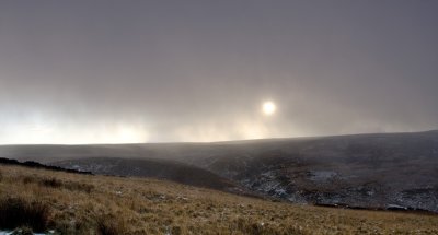 Snow Fall
