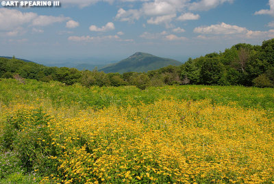 Old Rag From Skyline Drive