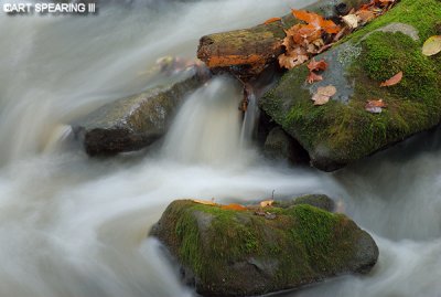 Autumn Middle Creek Close-up #2