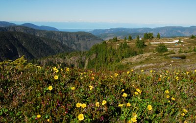 Views looking down into the Comox Valley from Kookjai