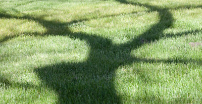 g3/27/798327/3/125013123.DtlWfswZ.jpg