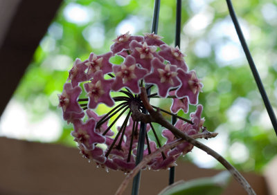 g3/27/798327/3/125013141.luEt6sfo.jpg