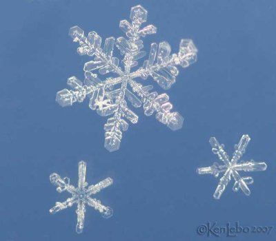 snow crystals