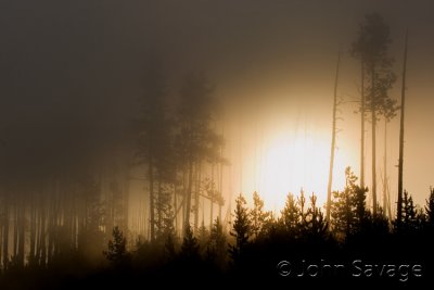 Sunrise in the morning fog