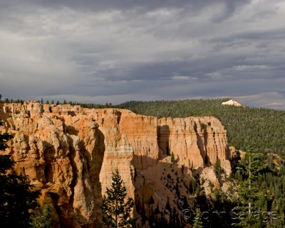 Rock formations in the pines