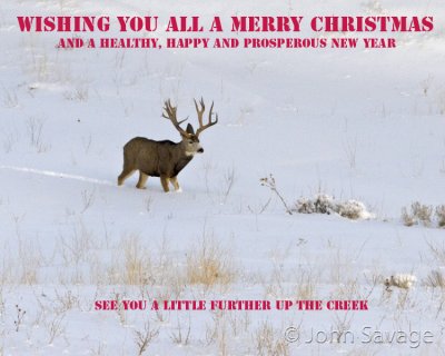 Merry Christmas Mule Deer