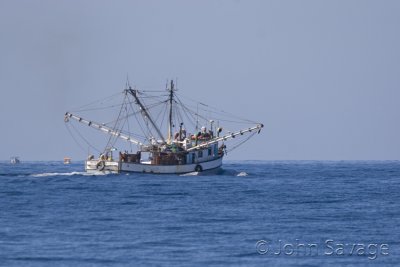 Shrimp boat in Cabo