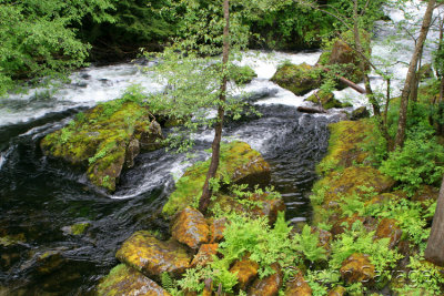 Ketchican Alaska creek.jpg