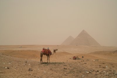 Minor sand storm at the Pyramids