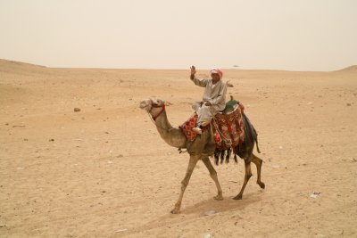 Happy Camel Guide