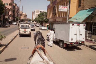 Horse-drawn carriage tour of Edfu