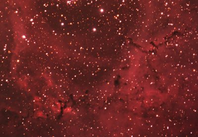 Dust Lanes in the Rosette Nebula - ver. 2