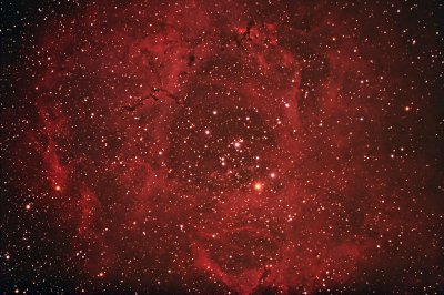 The Rosette Nebula - NGC 2244 and NGC 2237-9,46 in Monoceros