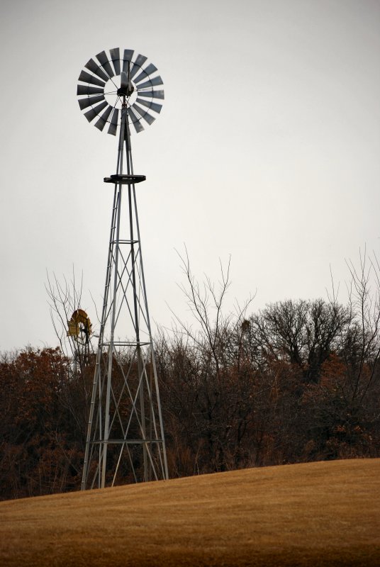 Texas Winter