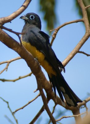 COSTA RICA