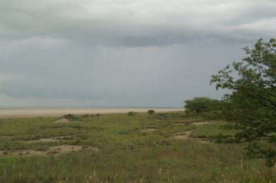 etosha3.jpg