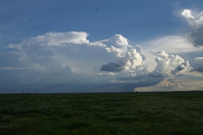 etosha7.jpg