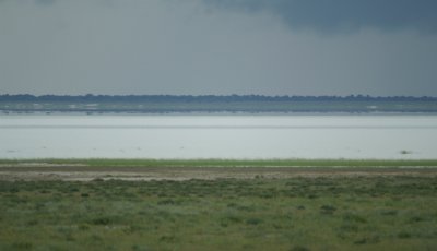 NAMIBIA ETOSHA LANDSCAPES