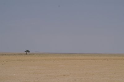 roadvie7.jpg