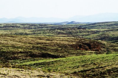 roadview6.jpg