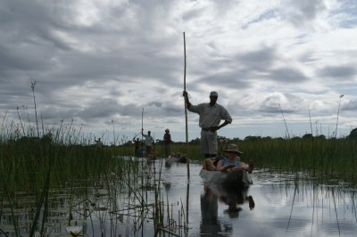 okavango mocoro