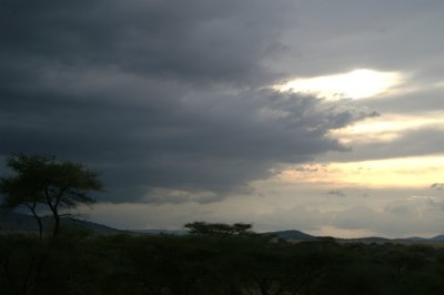 Serengeti rain