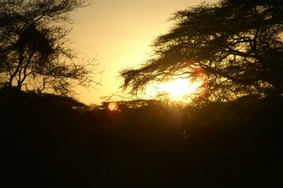 Samburu