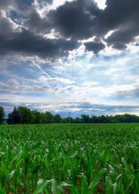 HDR03.jpg