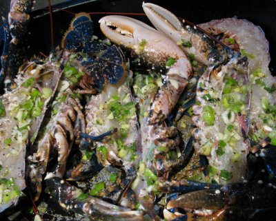 lobster01_kitchen.jpg