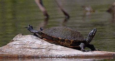 A little stretching