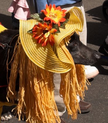 Flower Dog