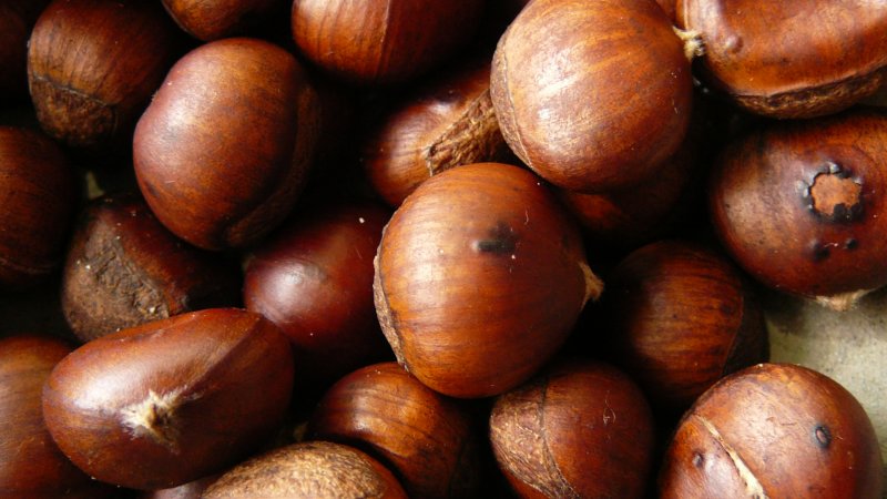 chestnuts