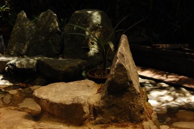 DSC_7517.JPG