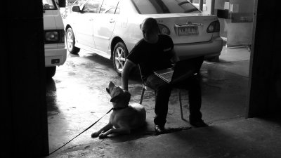 martin, director + stanley, dog