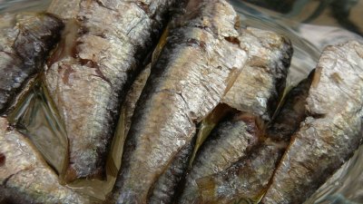 tawilis sardines