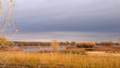 Marsh Pond